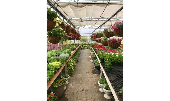 Big image enchanted 1