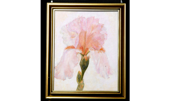 Big image webp.net resizeimage  12 