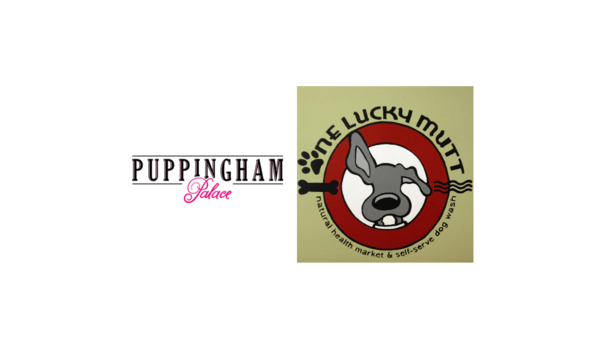 Big image doggy combined logo