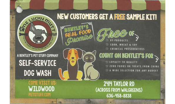 Big image one lucky mutt flyer