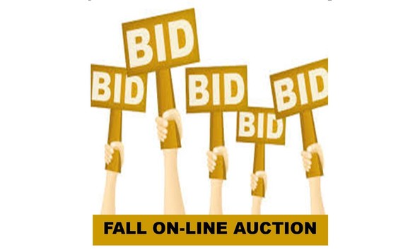 Organization Main Image