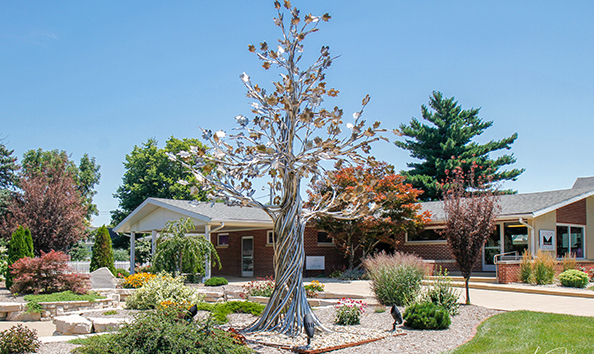 Organization Main Image