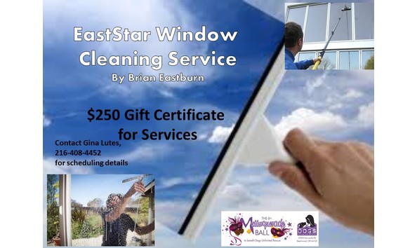 Big image eaststarwindowcleaning