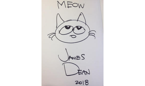 Big image sunglasses book