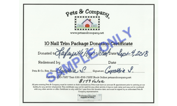 Big image pets and co