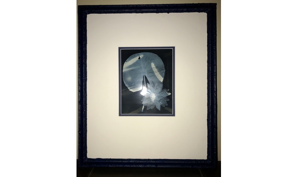 Big image iframeddanielethanbennick