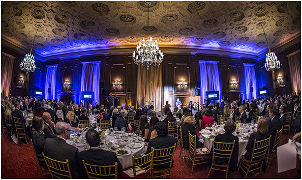 Organization Main Image