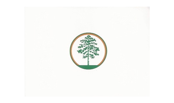 Big image loblolly pines  fl 