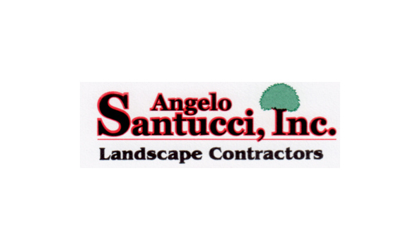 Big image angelo santucci inc 001