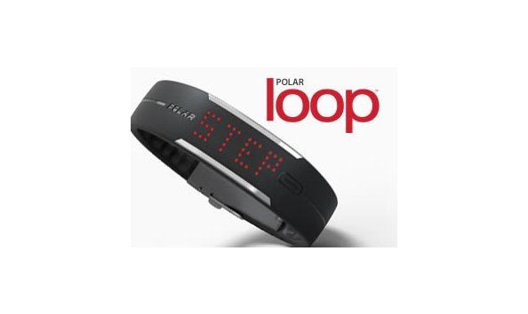 Big image polar loop