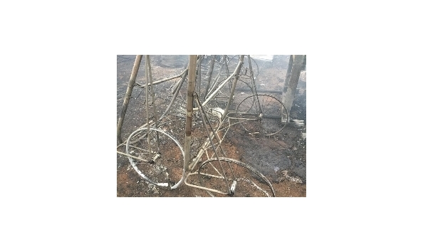 Organization Main Image