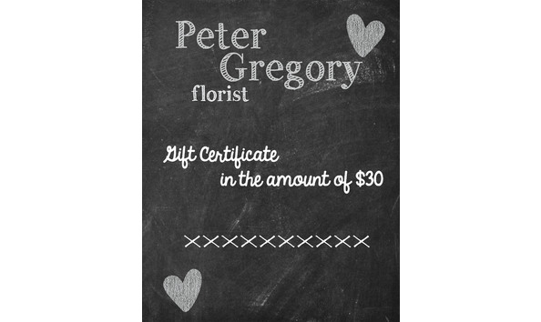 Big image peter gregory info