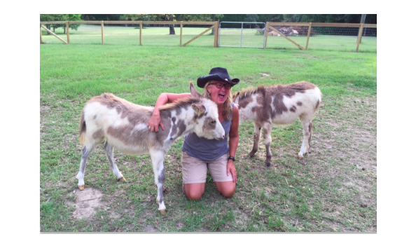 Big image screen shot 2018 09 17 at 1.28.44 pm