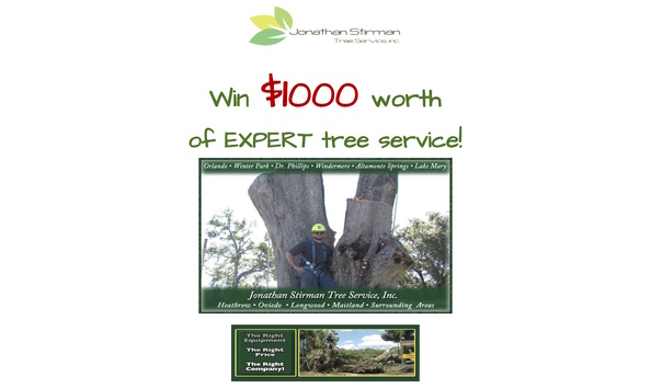 Big image stirman tree service