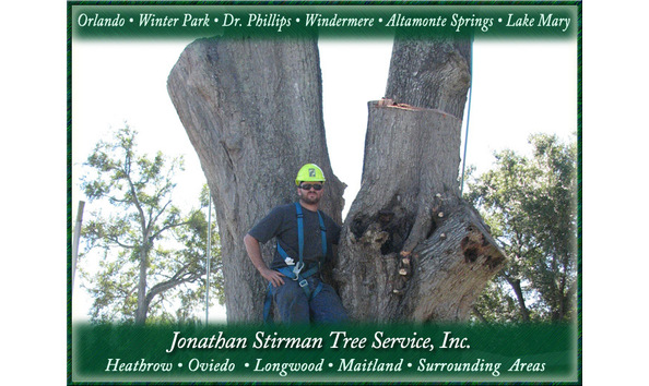 Big image tree service3