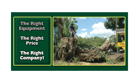 Big image tree service 2