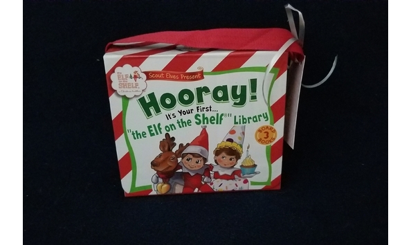 Big image paris pink christmas elf