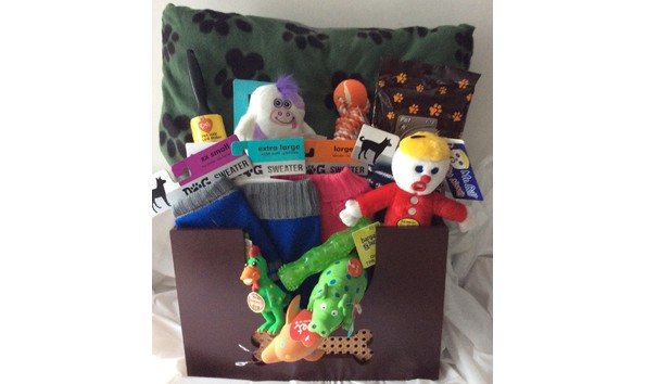 Big image furry friends