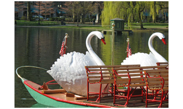 Big image boston swan boats 10