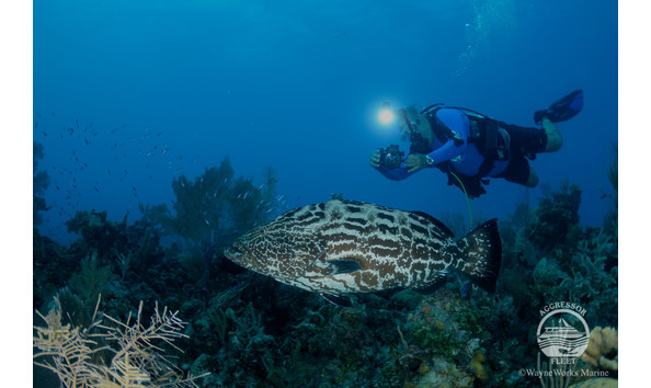 Big image bahamas uw17 x3