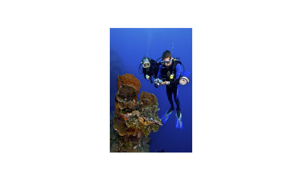 Big image mm helpuwca 0870 162v245