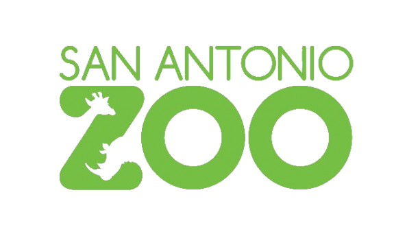 Big image mini magick20180929 35436 puqimk