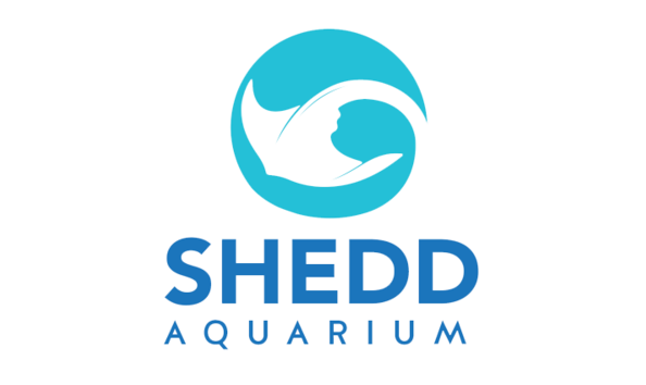 Big image sheddaquarium