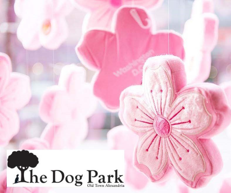 The Dog Park Cherry Blossom Dog Toy