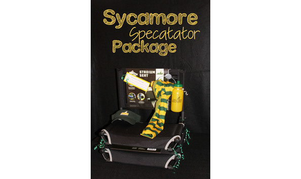 Big image spectator package main