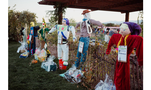 Organization Main Image