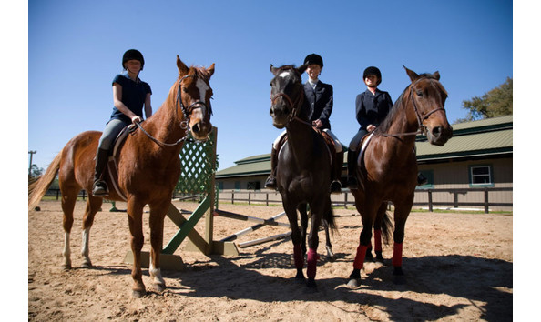 Big image horse riding lessons