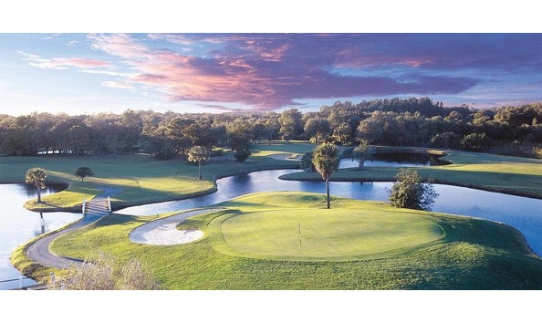 Big image pic 393 innisbrook salamander