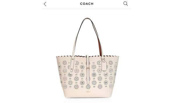 Big image coach purse