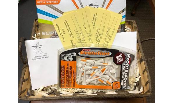 Big image eagles landing basket