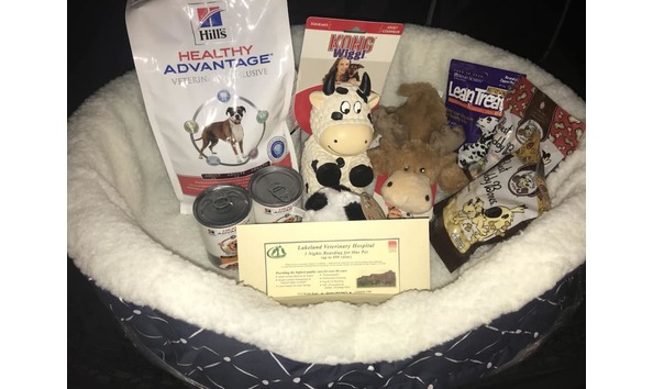 Big image lakeland vet