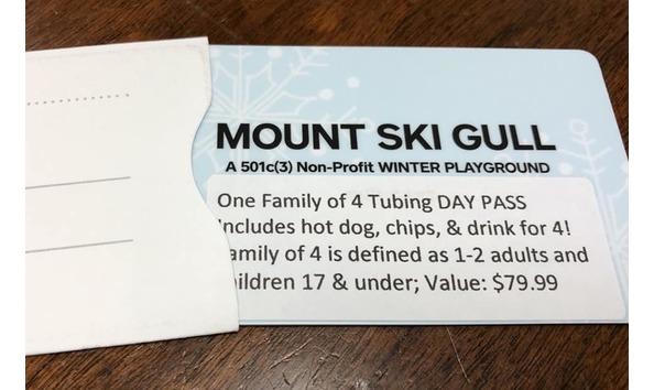 Big image mount ski gull