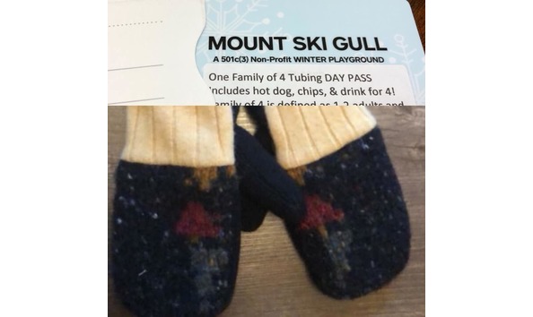 Big image mount ski gull 2