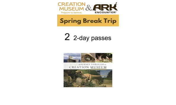 Big image creation museum