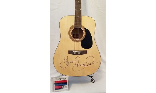 Big image fran guitar