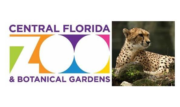 Big image central florida zoo