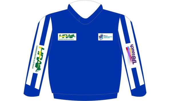 Big image our blackbird