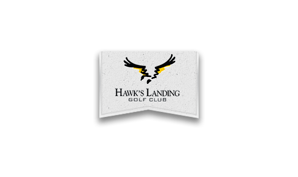 Big image hawks landing logo