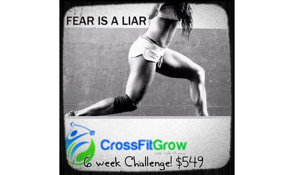 Big image cross fit grow 2