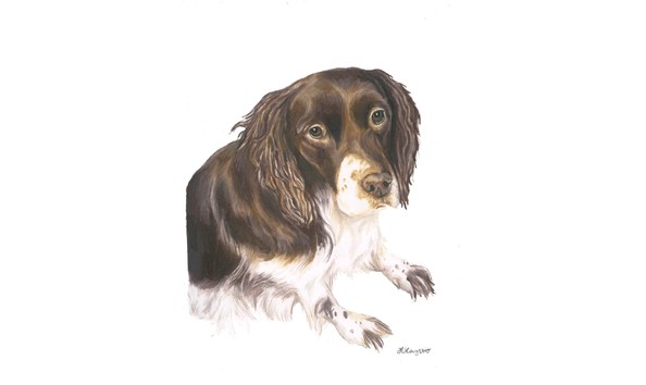 Big image thumbnail slaughter  4 