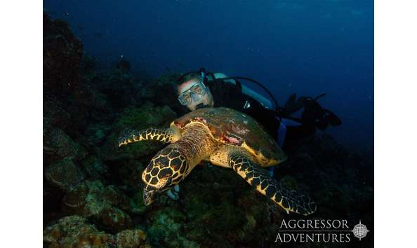 Big image cocos uw2 copy