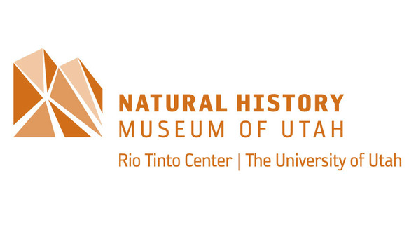 Big image   7606535 orig