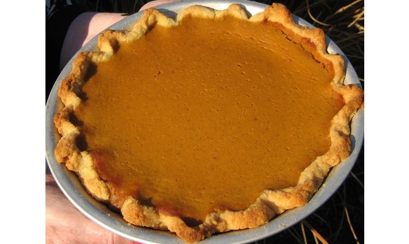 Big image auctionpumpkinpie