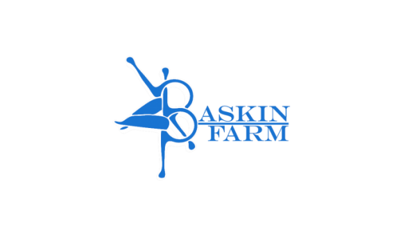 Big image baskin square