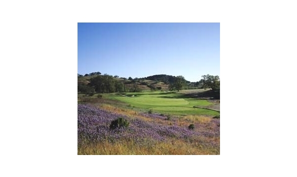 Big image goldsilentauction3