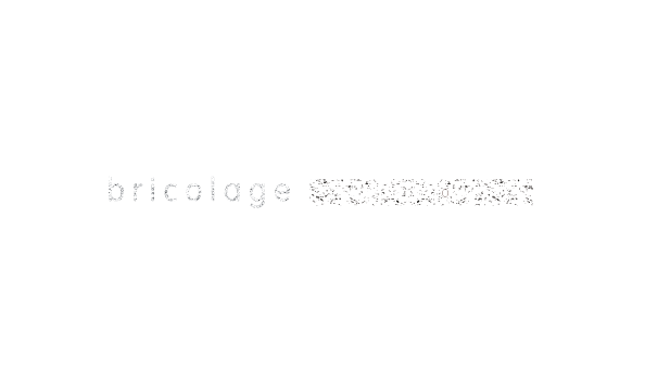 Big image bricolage light logo41